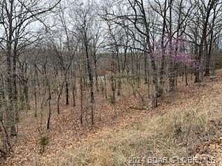 0.83 Acres of Land for Sale in Camdenton, Missouri