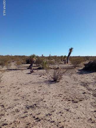 20 Acres of Land for Sale in Sierra Blanca, Texas