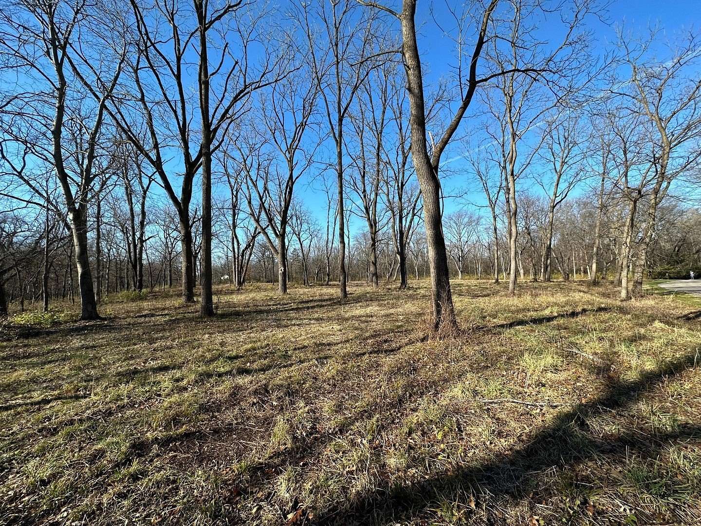 4.48 Acres of Residential Land for Sale in Wayne, Illinois