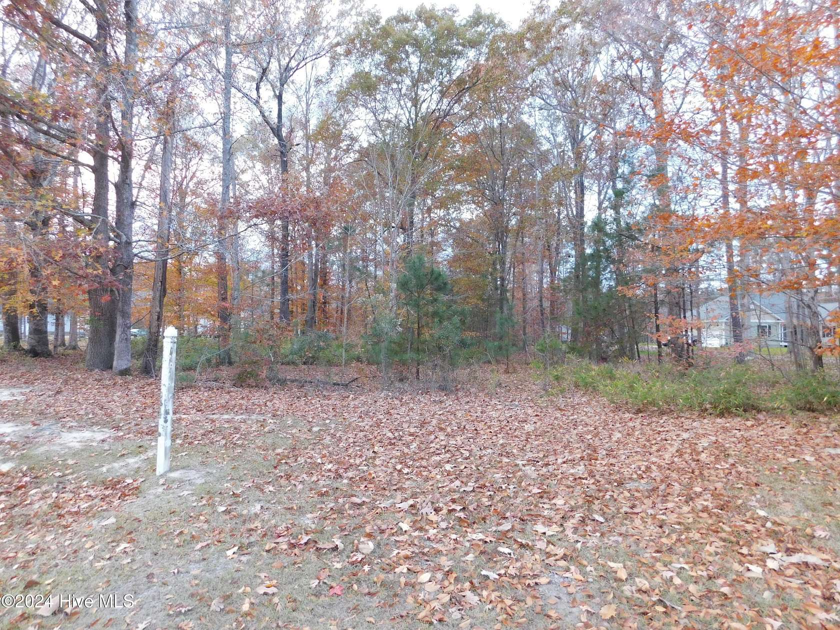 1.33 Acres of Residential Land for Sale in Hertford, North Carolina