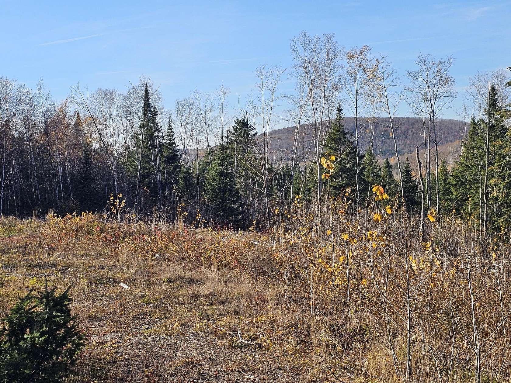 62 Acres of Recreational Land for Sale in Fort Kent, Maine