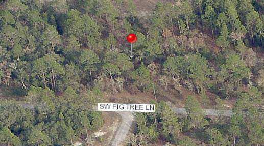 0000 SW Fig Tree Ln - 0.99 ACRE