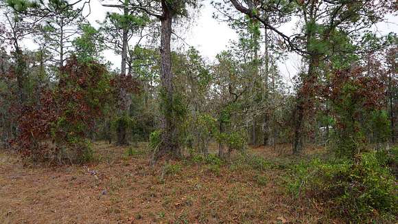 0000 SW Fig Tree Ln - Interior View