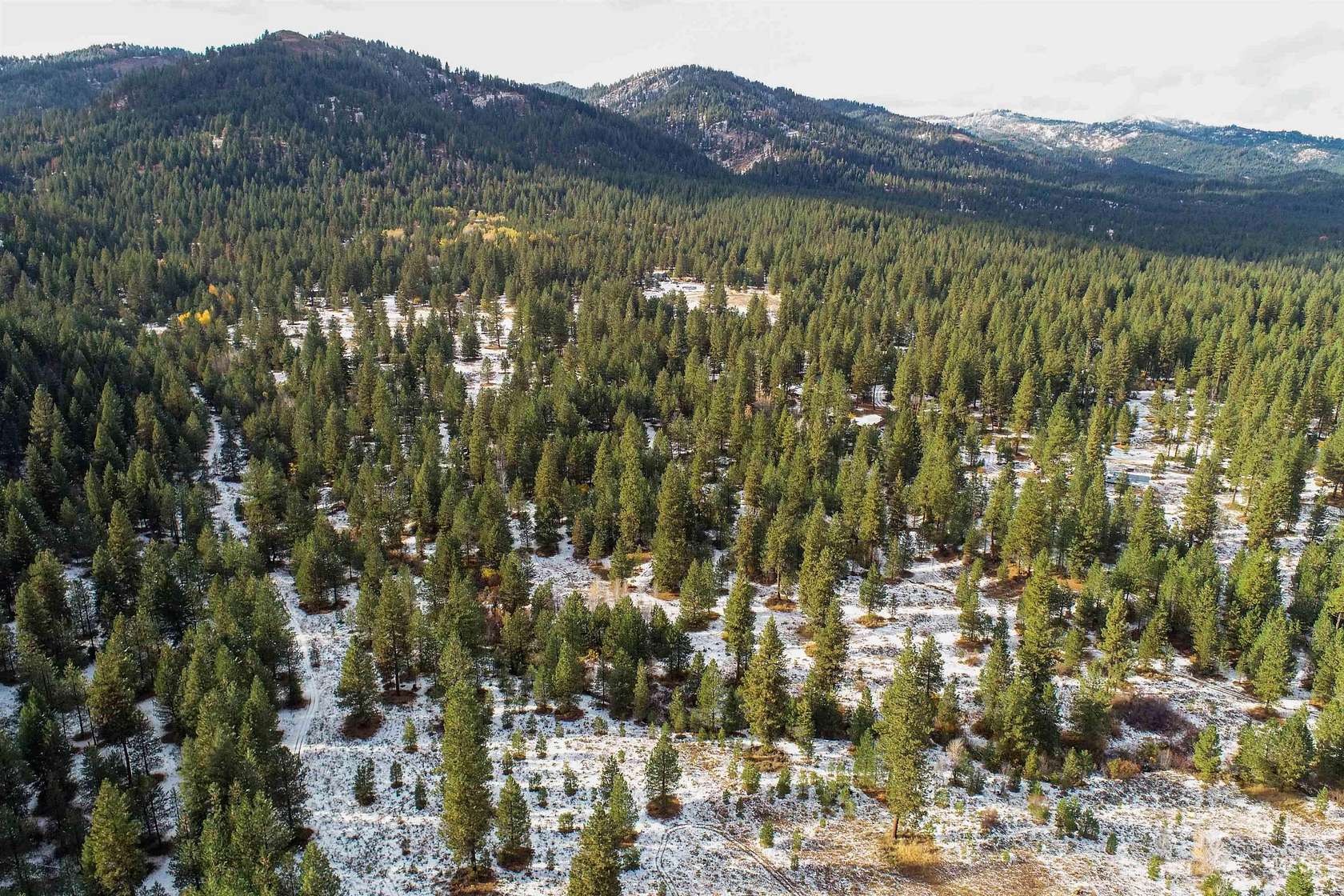 3.85 Acres of Residential Land for Sale in Placerville, Idaho