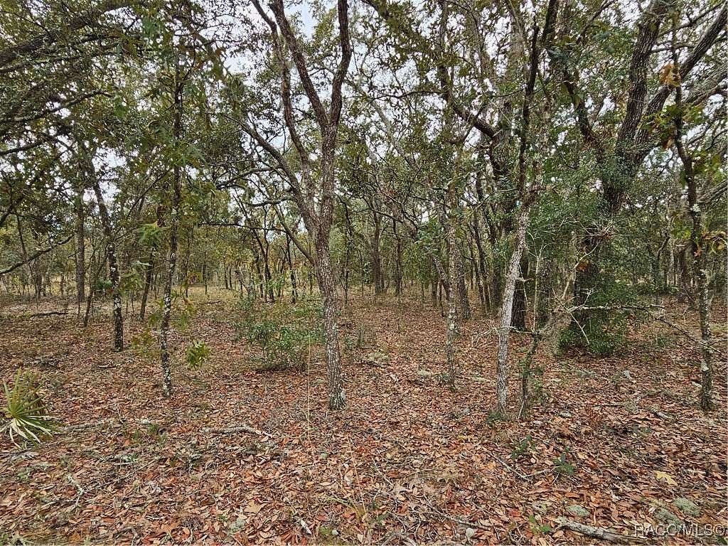 0.23 Acres of Residential Land for Sale in Citrus Springs, Florida