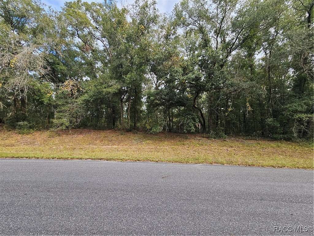 0.27 Acres of Land for Sale in Citrus Springs, Florida