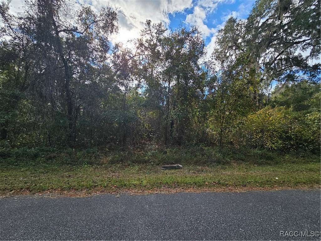 0.23 Acres of Residential Land for Sale in Citrus Springs, Florida