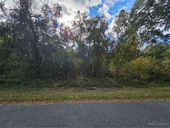 0.23 Acres of Residential Land for Sale in Citrus Springs, Florida