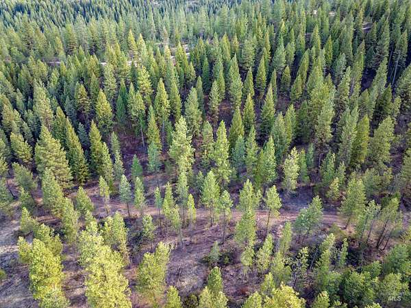 4.84 Acres of Residential Land for Sale in Placerville, Idaho