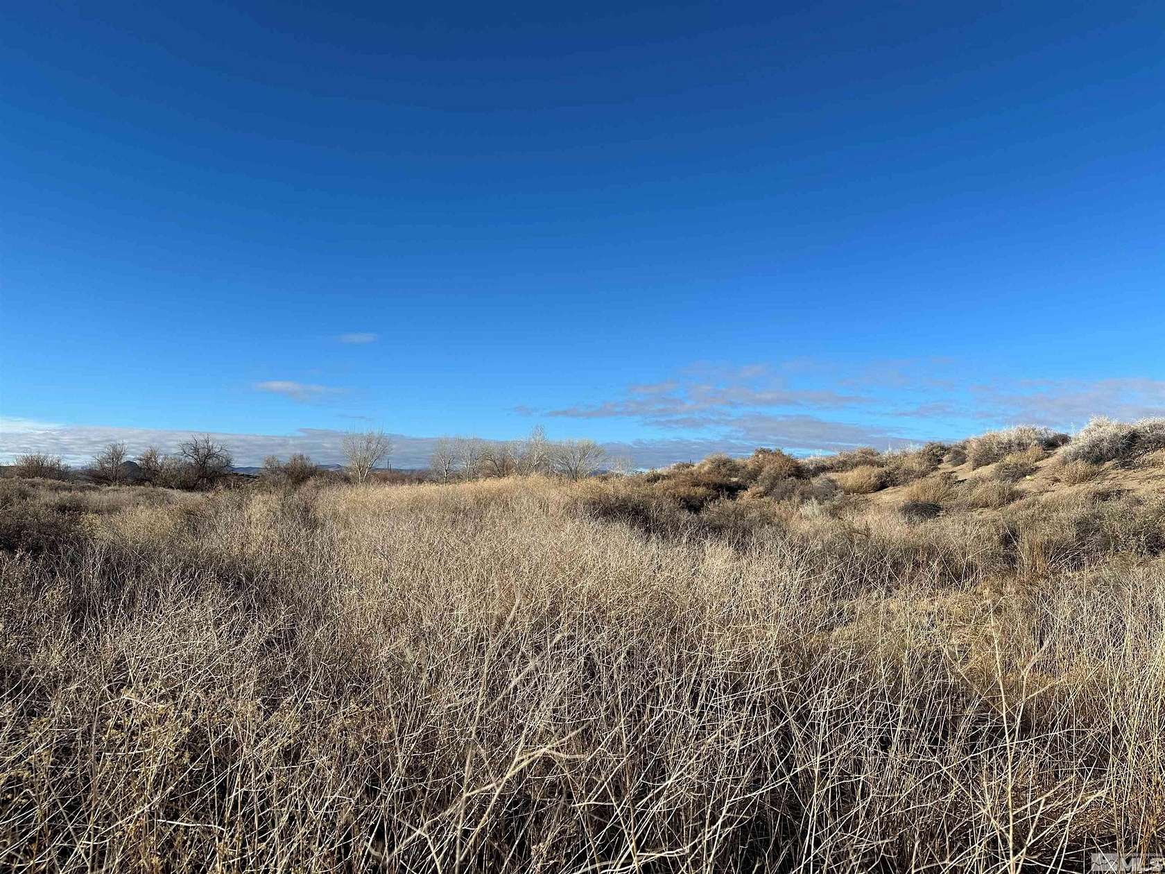 1 Acre of Land for Sale in Silver Springs, Nevada