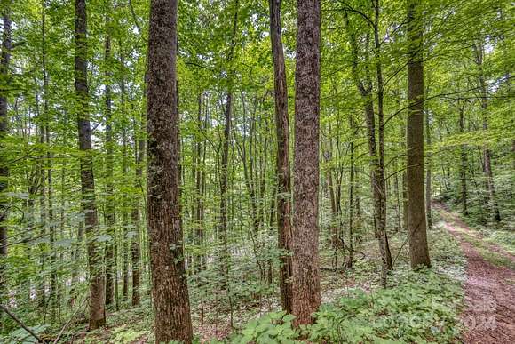 0.54 Acres of Residential Land for Sale in Mars Hill, North Carolina