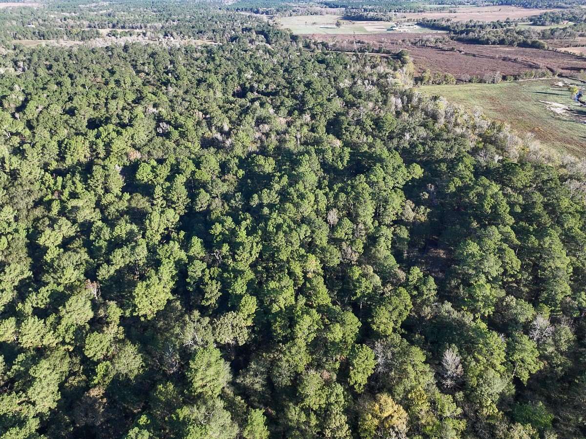 10 Acres of Recreational & Residential Land for Sale in Huntsville, Texas