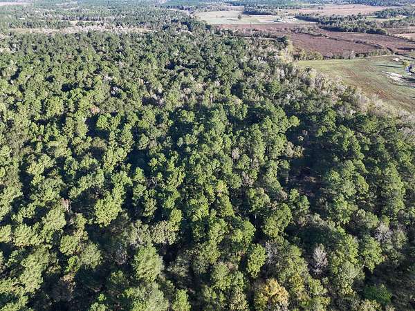 10 Acres of Recreational & Residential Land for Sale in Huntsville, Texas