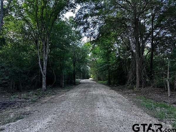 10 Acres of Residential Land for Sale in Van, Texas