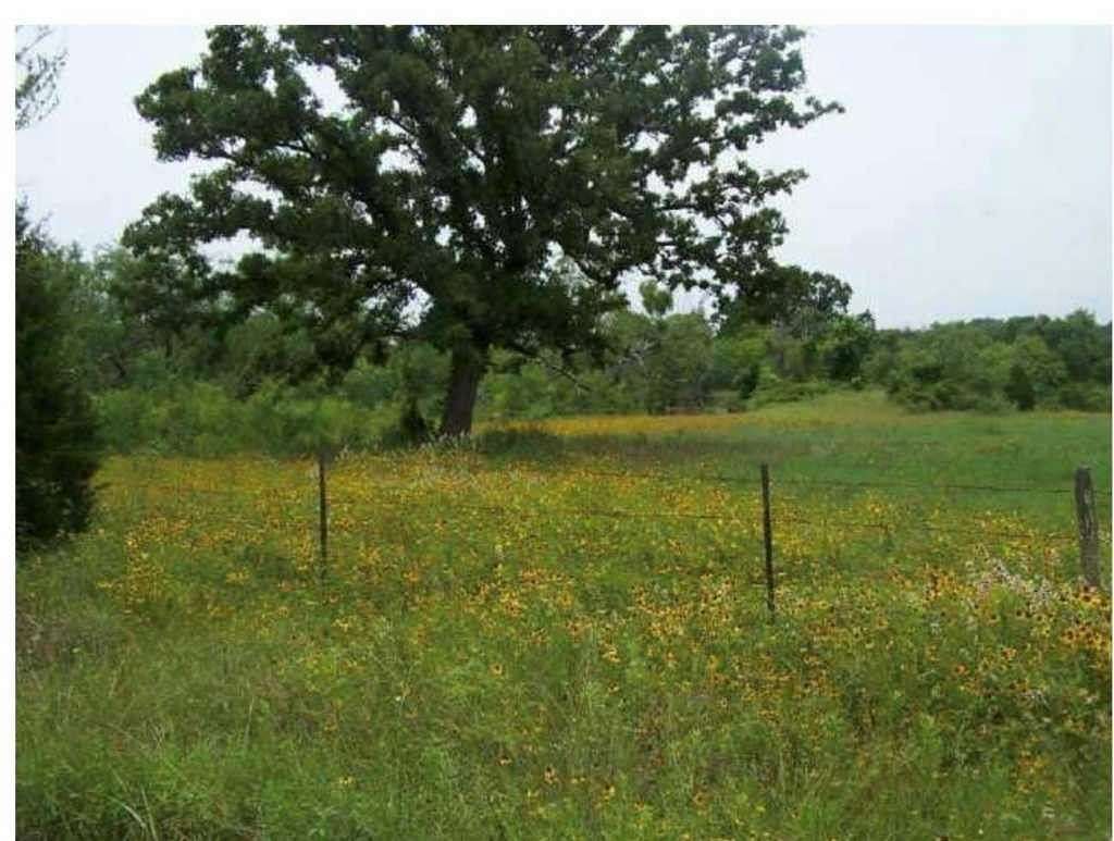 26 Acres of Land for Sale in Flatonia, Texas