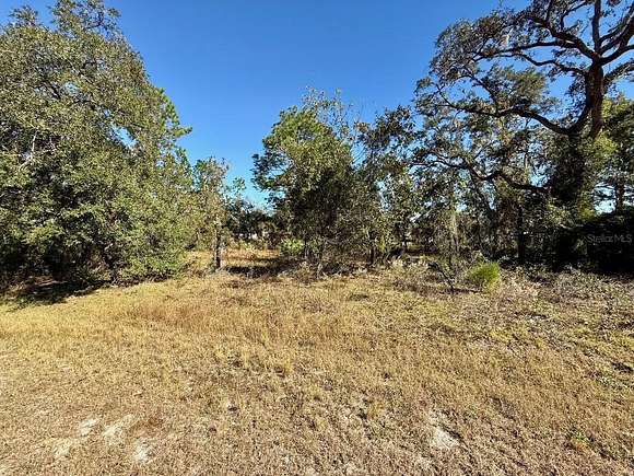 0.46 Acres of Residential Land for Sale in Weeki Wachee, Florida