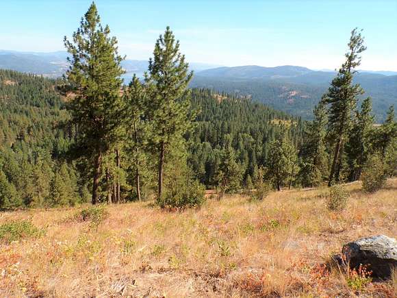 20 Acres of Recreational Land for Sale in Inchelium, Washington