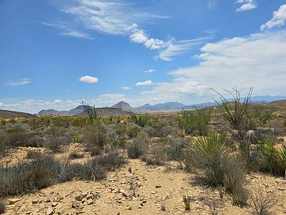 40 Acres of Recreational Land for Sale in Terlingua, Texas