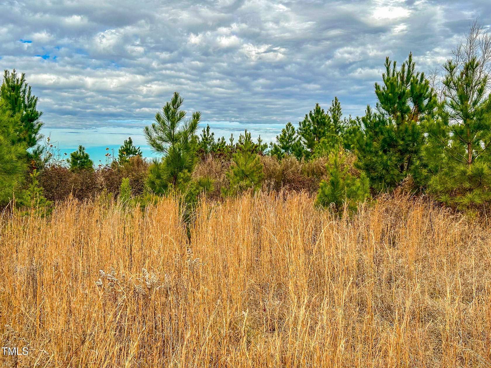 40 Acres of Recreational Land for Sale in Roxboro, North Carolina