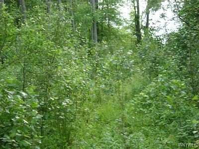 0.78 Acres of Residential Land for Sale in Lewiston, New York