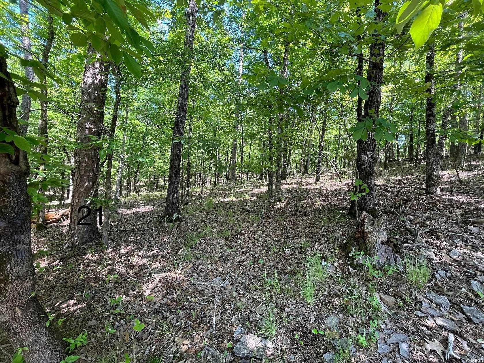 0.48 Acres of Residential Land for Sale in Hot Springs, Arkansas