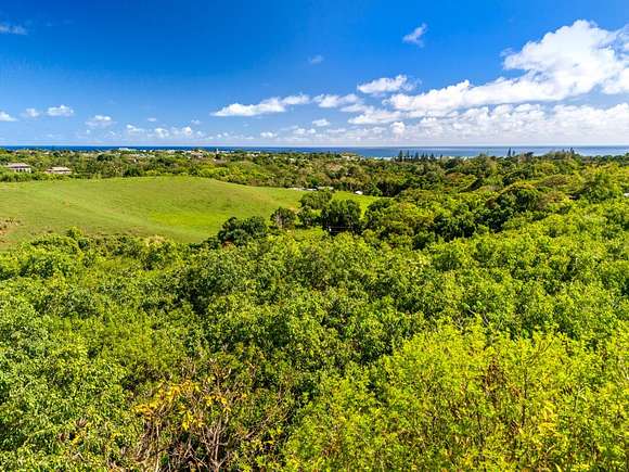 21.87 Acres of Agricultural Land for Sale in Kapaa, Hawaii