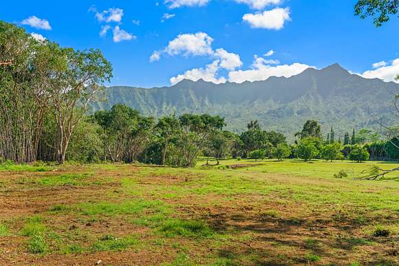 10.096 Acres of Land for Sale in Kilauea, Hawaii