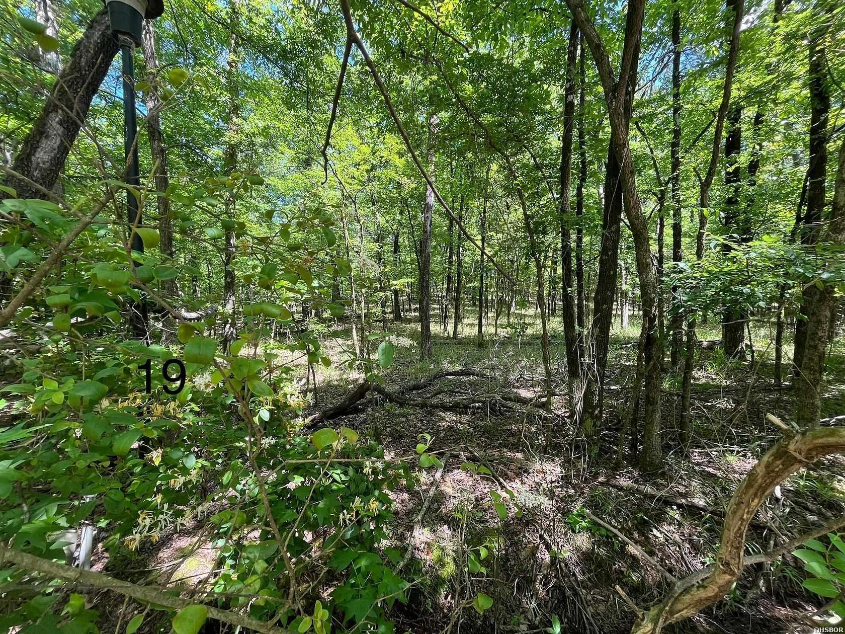 0.37 Acres of Residential Land for Sale in Hot Springs, Arkansas