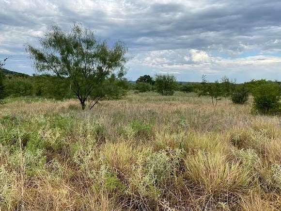 5 Acres of Agricultural Land for Sale in Graford, Texas