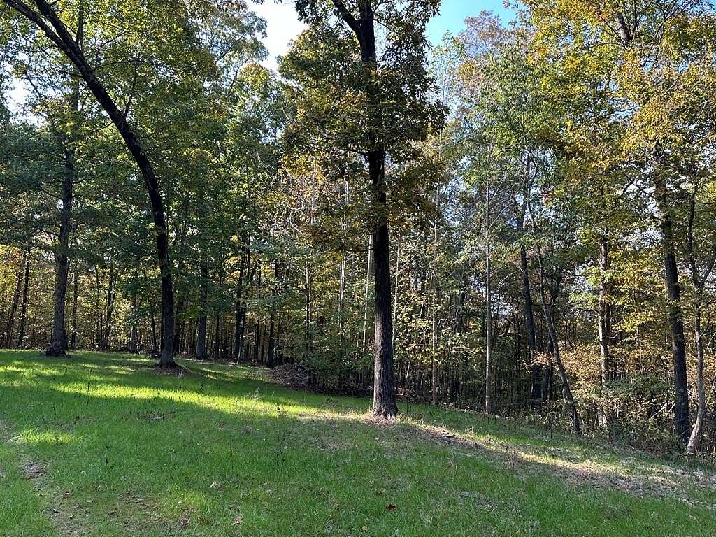 81 Acres of Recreational Land for Sale in Camden, Tennessee