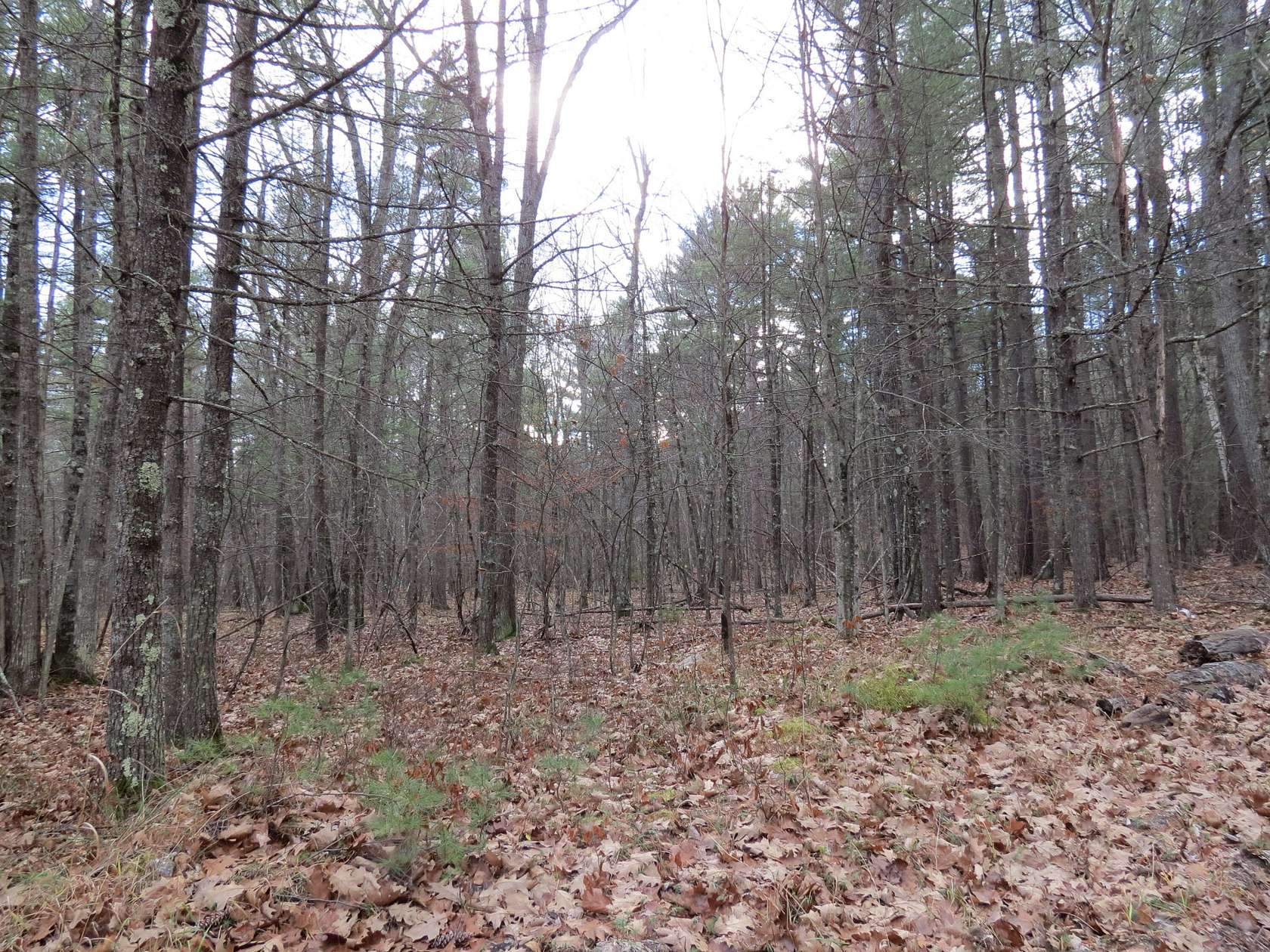 1 Acre of Residential Land for Sale in Jay, New York