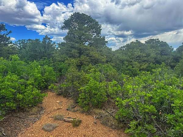 35 Acres of Land for Sale in Walsenburg, Colorado