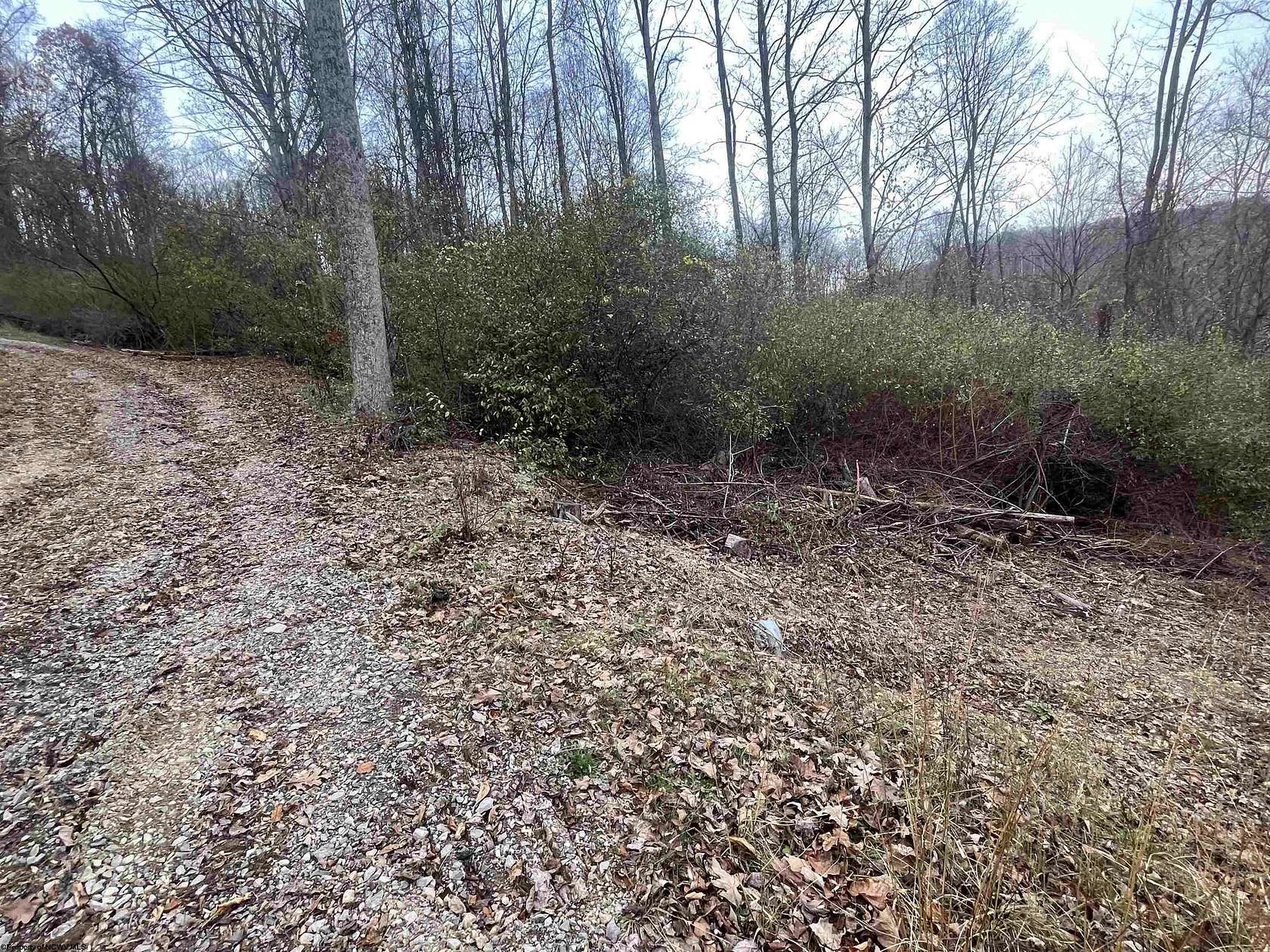 8.41 Acres of Residential Land for Sale in Jane Lew, West Virginia