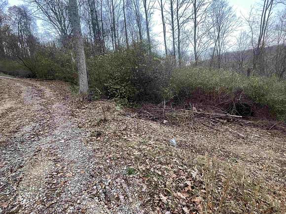 8.41 Acres of Residential Land for Sale in Jane Lew, West Virginia