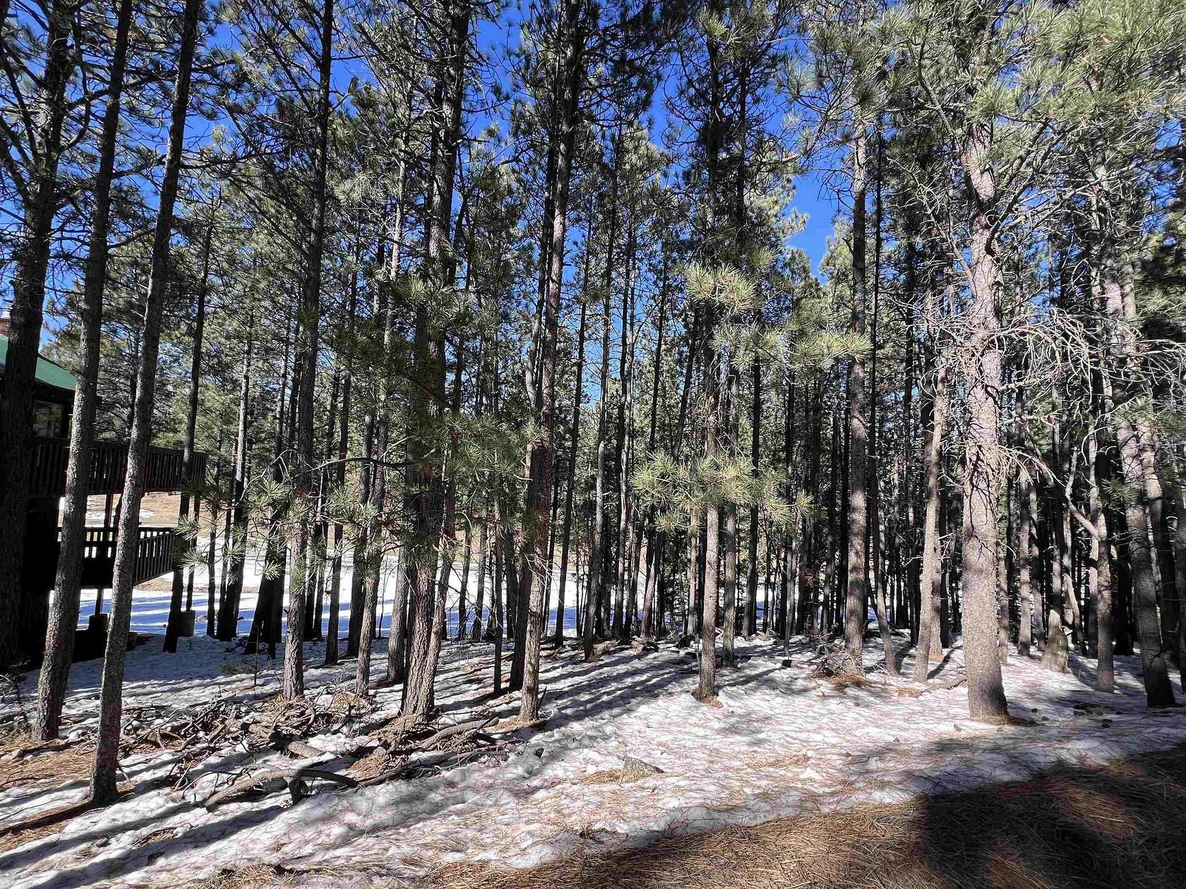 0.61 Acres of Residential Land for Sale in Angel Fire, New Mexico