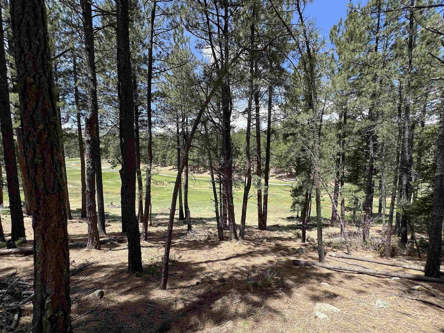 0.61 Acres of Residential Land for Sale in Angel Fire, New Mexico