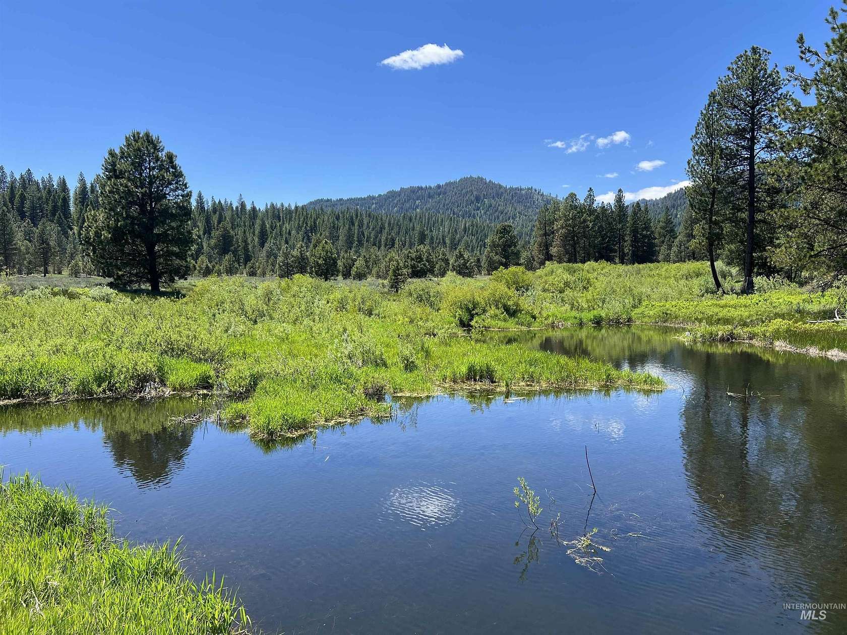 3.82 Acres of Residential Land for Sale in Placerville, Idaho