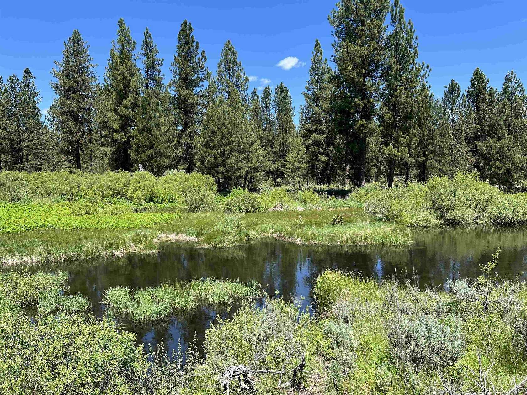 5.01 Acres of Residential Land for Sale in Placerville, Idaho