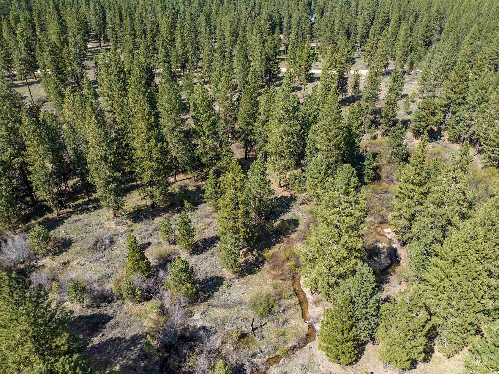 3.74 Acres of Residential Land for Sale in Placerville, Idaho