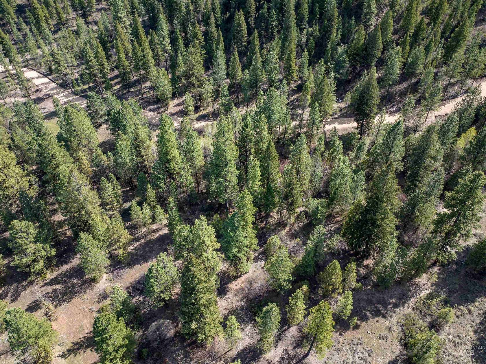 4.25 Acres of Residential Land for Sale in Placerville, Idaho