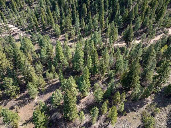 4.25 Acres of Residential Land for Sale in Placerville, Idaho