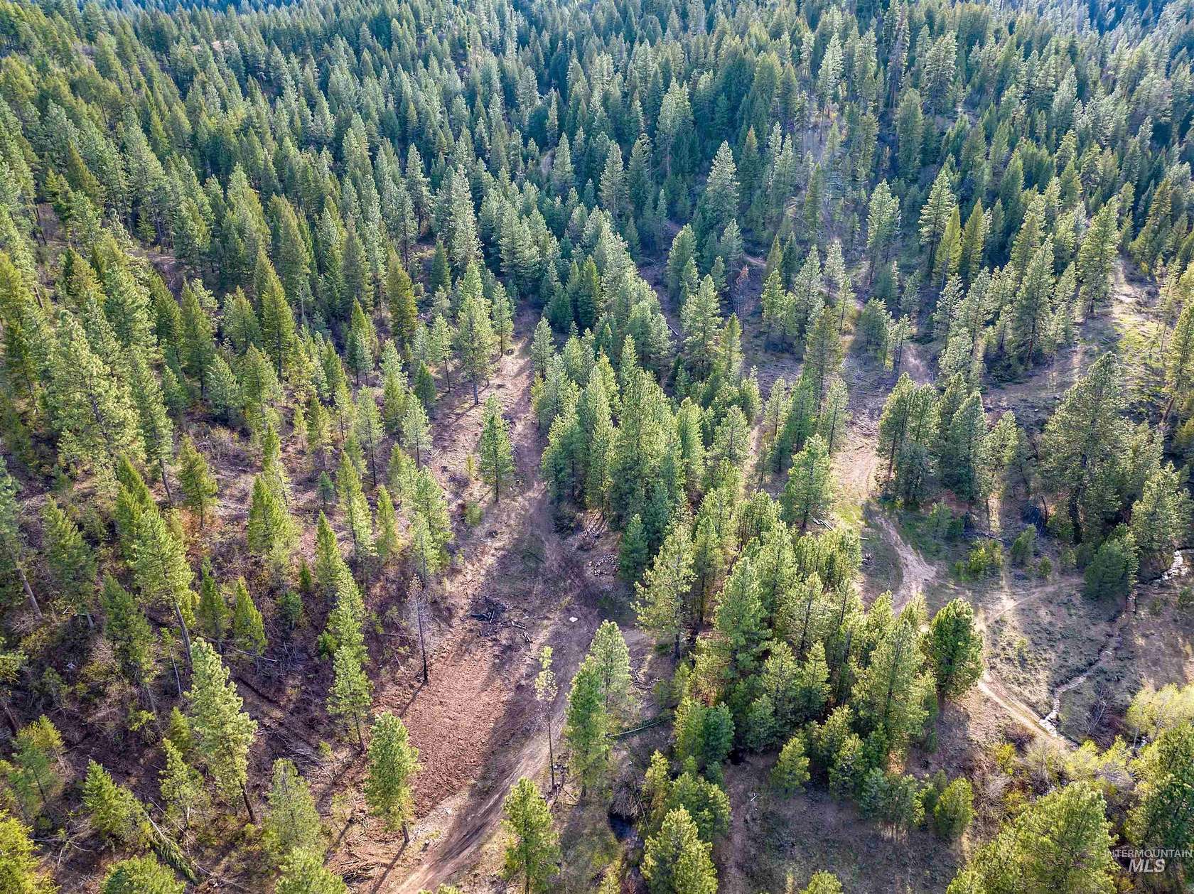 13 Acres of Recreational Land for Sale in Placerville, Idaho