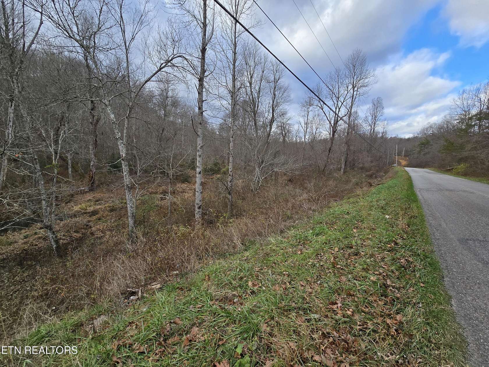 13.6 Acres of Land for Sale in Pleasant Hill, Tennessee