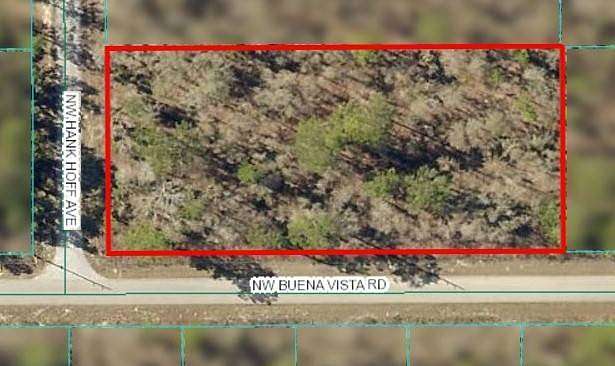 1 Acre of Residential Land for Sale in Dunnellon, Florida