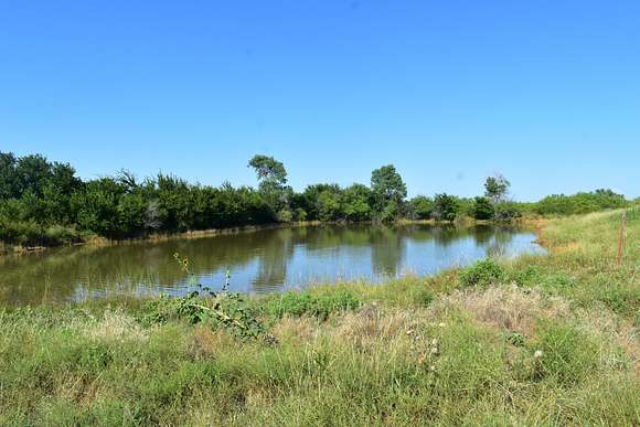 52 Acres of Land for Sale in Olney, Texas