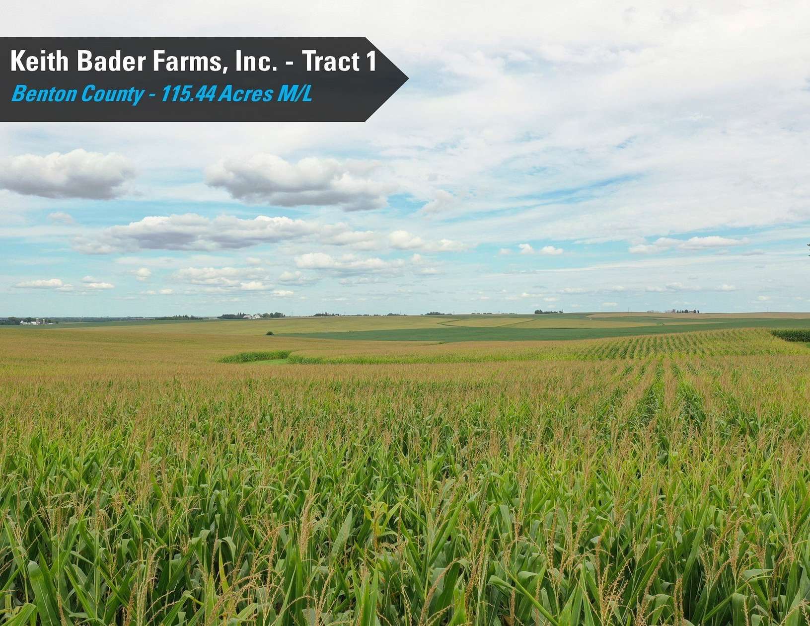 115.44 Acres of Agricultural Land for Auction in Dysart, Iowa