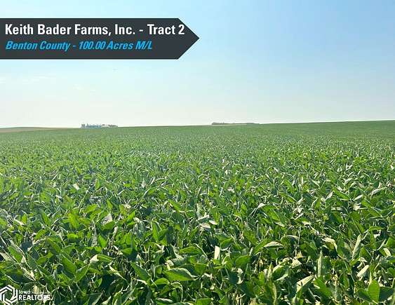 100 Acres of Agricultural Land for Auction in Dysart, Iowa