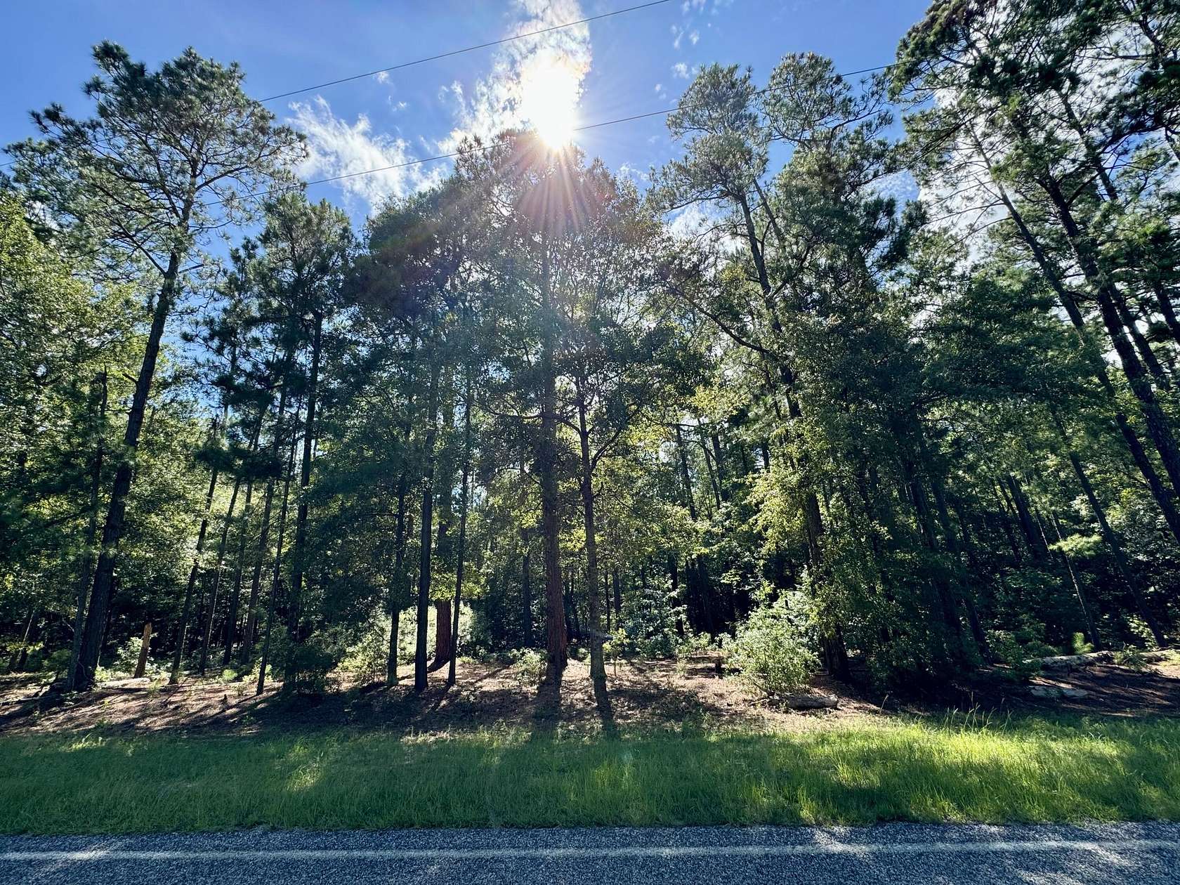 5 Acres of Land for Sale in Waynesboro, Georgia