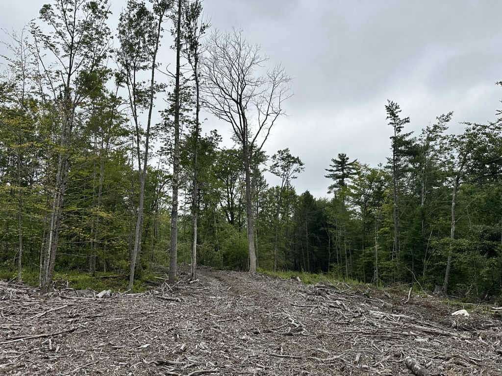 Land for Sale in Parsonsfield, Maine