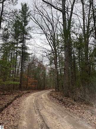 37.88 Acres of Recreational Land for Sale in Fife Lake, Michigan